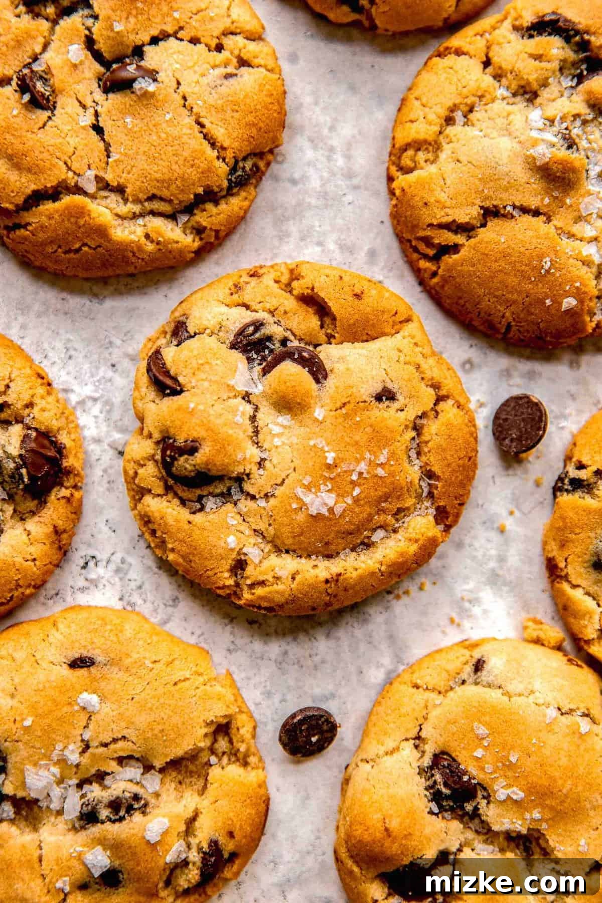 Overhead shot of freshly baked chocolate chip cookies cooling on a baking sheet, golden and perfectly formed.