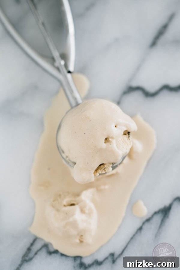 Creamy Coconut Coffee Bliss 2 This paleo-friendly coffee coconut milk ice cream is a dream! You'll want to whip up a batch and have a couple scoops before it disappears!