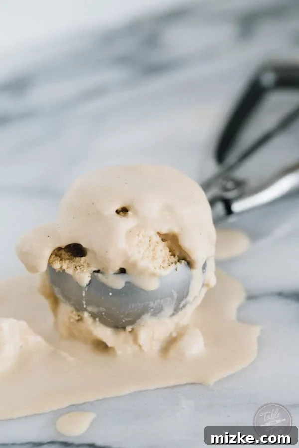 Creamy Coconut Coffee Bliss 6 This paleo-friendly coffee coconut milk ice cream is a dream! You'll want to whip up a batch and have a couple scoops before it disappears!