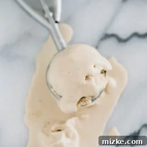 Coffee Coconut Milk Ice Cream