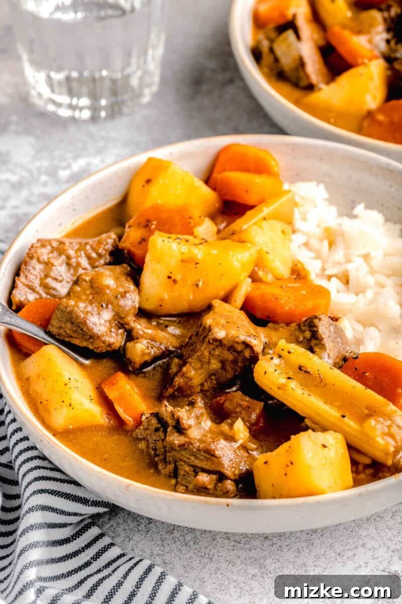 Golden Japanese Curry 2 beef, potatoes, celery, and carrots in a stew-like sauce on a bed of white rice in a rimmed ceramic bowl