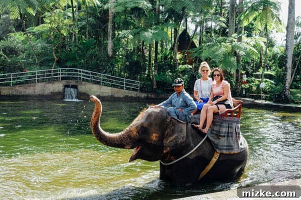 Bali's Elephant Safari Lodge 4 The Elephant Safari Park Lodge is one place to not be missed during your trip to Bali, Indonesia! It is an experience of a lifetime and you will go home with a deeper love for these gentle giants. Full review on tablefortwoblog.com!