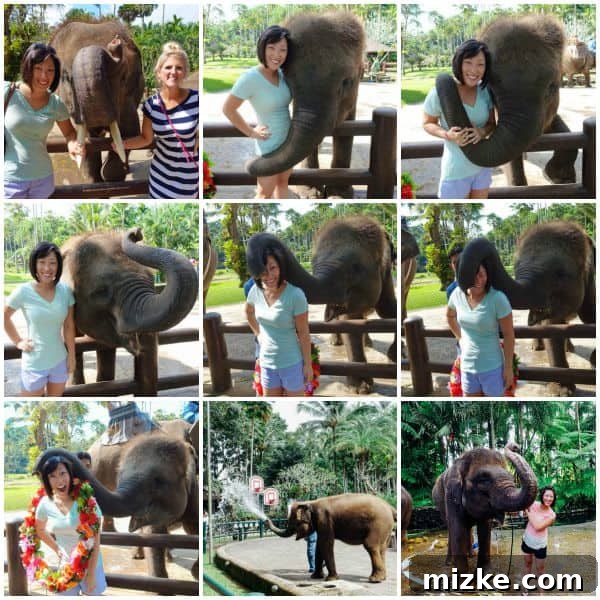 Bali's Elephant Safari Lodge 8 The Elephant Safari Park Lodge is one place to not be missed during your trip to Bali, Indonesia! It is an experience of a lifetime and you will go home with a deeper love for these gentle giants. Full review on tablefortwoblog.com!