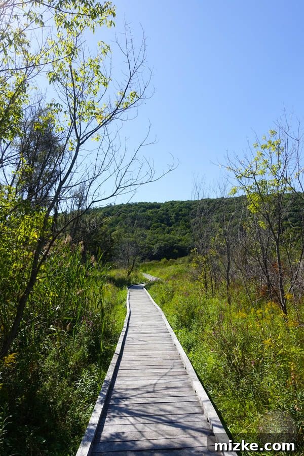 The Enchanting Hudson Valley 30 A tranquil view of the swamp-like area near the Appalachian Trail, teeming with local wildlife.