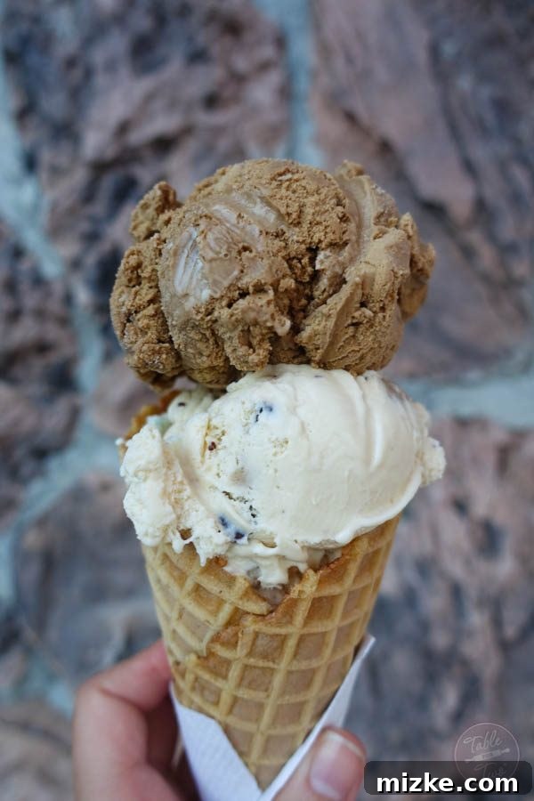 The Enchanting Hudson Valley 42 My delicious, yet sleep-disrupting, coffee ice cream with chocolate chip cookie dough from Joe's Dairy Bar.