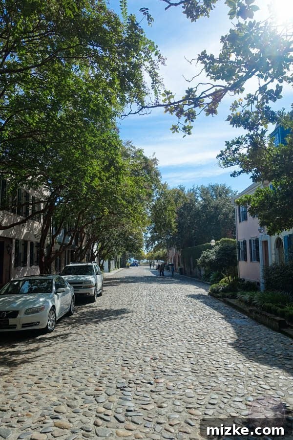 Charleston: Southern Charm and Historic Grandeur 39 Horse-drawn carriage tour passing through a Charleston neighborhood