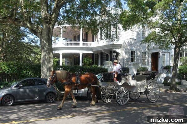 Charleston: Southern Charm and Historic Grandeur 40 Beautiful architecture and serene street views in Charleston
