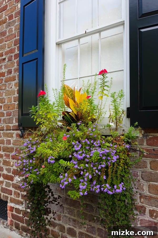 Charleston: Southern Charm and Historic Grandeur 41 An array of local honey varieties in a charming Charleston shop
