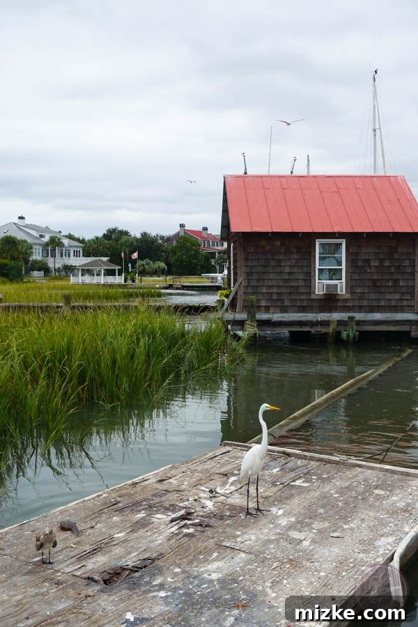 Charleston: Southern Charm and Historic Grandeur 67 Serene scene at a Charleston fish market with a majestic bird