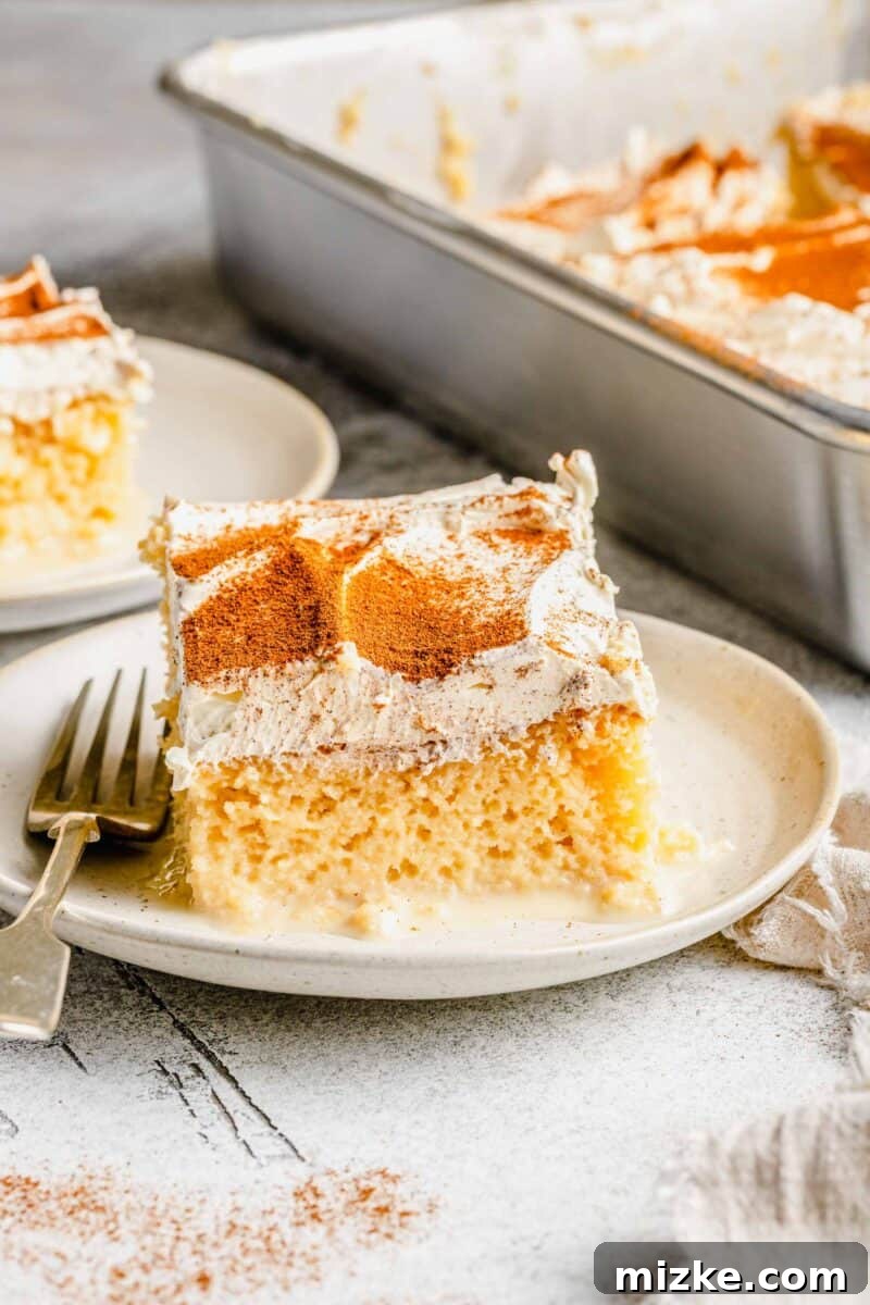 Close-up of Tres Leches Cake slices, highlighting the moist interior and cinnamon topping. Two slices of Tres Leches Cake on plates, garnished with cinnamon, next to the main cake pan.