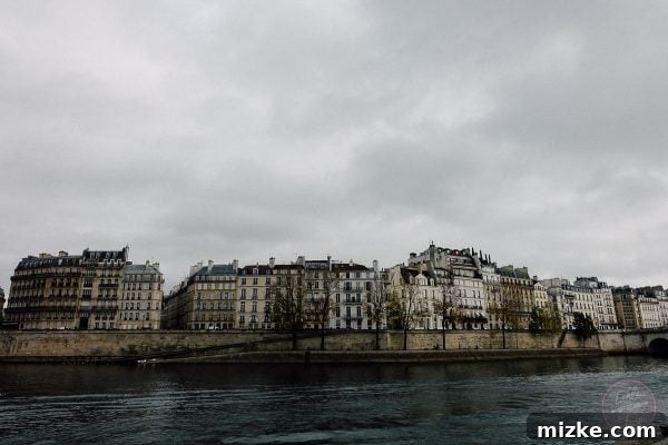 Wandering Paris 6 a scenic view of the Seine River with a bridge and classic buildings