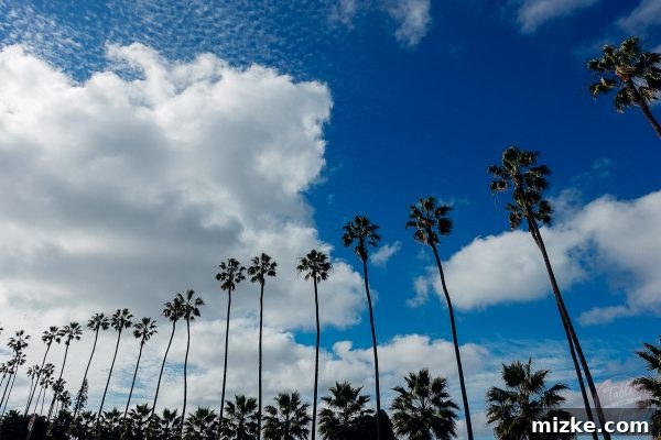 A memorable view from La Jolla Cove. la-san-diego-2015-tablefortwoblog-61