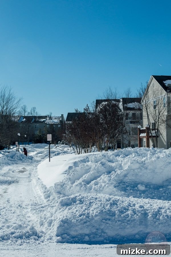 Blizzard of 2016: The Visual Story 11 Blizzard of 2016