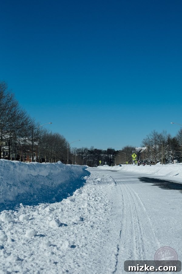 Blizzard of 2016: The Visual Story 15 Blizzard of 2016