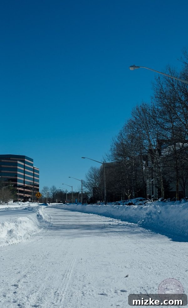 Blizzard of 2016: The Visual Story 16 Blizzard of 2016