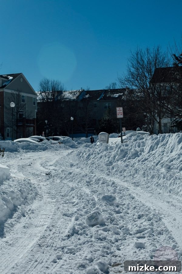 Blizzard of 2016: The Visual Story 17 Blizzard of 2016