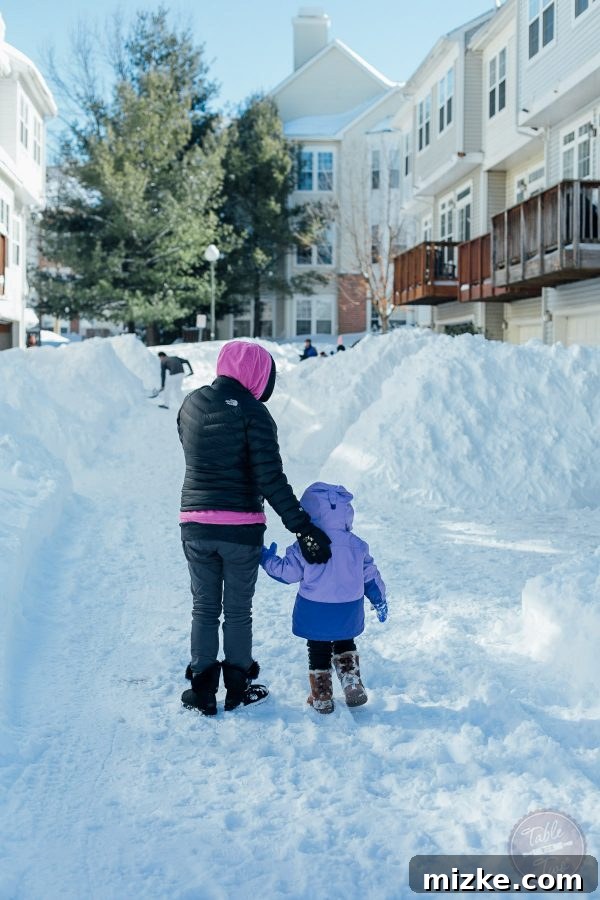 Blizzard of 2016: The Visual Story 3 Blizzard of 2016