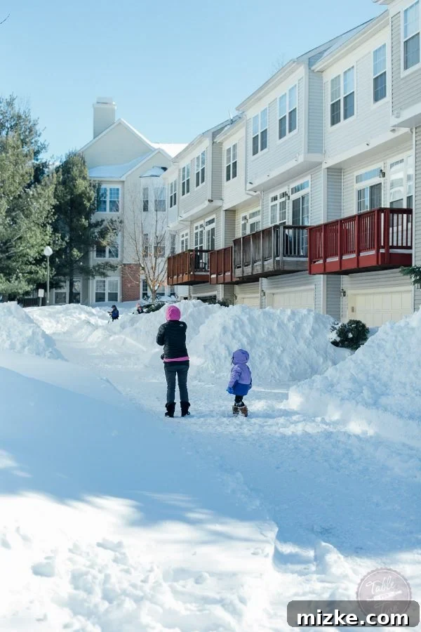 Blizzard of 2016: The Visual Story 4 Blizzard of 2016