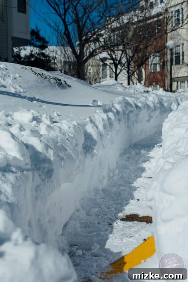 Blizzard of 2016: The Visual Story 5 Blizzard of 2016