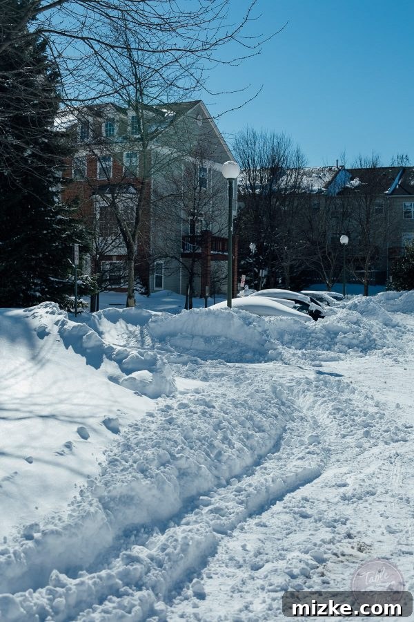 Blizzard of 2016: The Visual Story 7 Blizzard of 2016