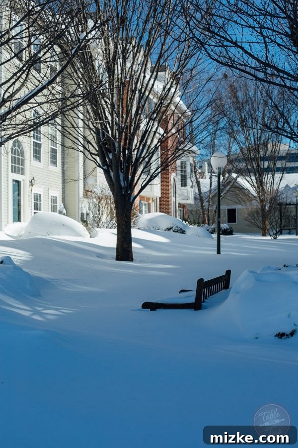Blizzard of 2016: The Visual Story 8 Blizzard of 2016