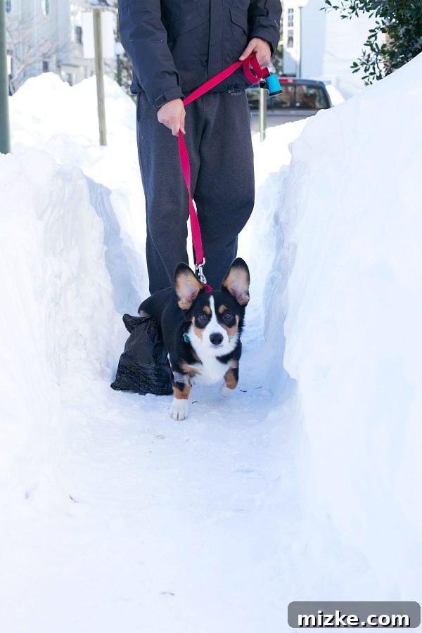 Blizzard of 2016: The Visual Story 9 blizzard-2016-tablefortwoblog-16