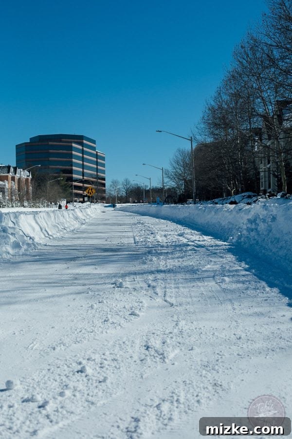 Blizzard of 2016: The Visual Story 10 Blizzard of 2016