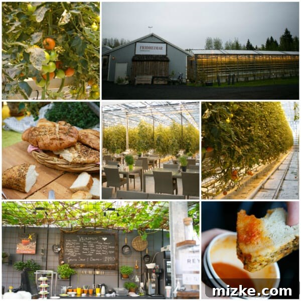 Iceland's Golden Circle in Five Unforgettable Days 12 Collage showcasing the greenhouse and tomato products at Friðheimar Farm