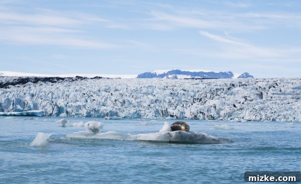 Iceland's Glacial Jewel: A 5-Day Jökulsárlón Exploration 14 Panoramic view of multiple icebergs and the glacier in Jökulsárlón Lagoon