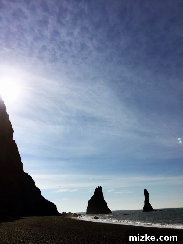 Iceland's Glacial Jewel: A 5-Day Jökulsárlón Exploration 6 Detailed shot of the unique rock formations on Reynisfjara beach