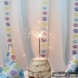 Grain-Free Dog Birthday Cake