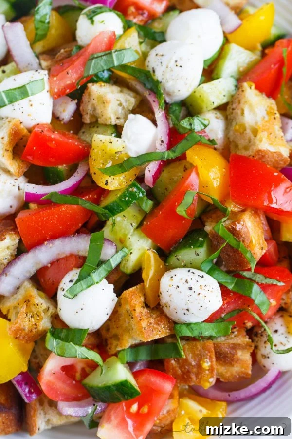 Vibrant Summer Panzanella 3 A delightful light and refreshing summer panzanella salad for your dinner table! This is a great way to use up all the abundant summer produce and a great dinner side item or even as an entree!