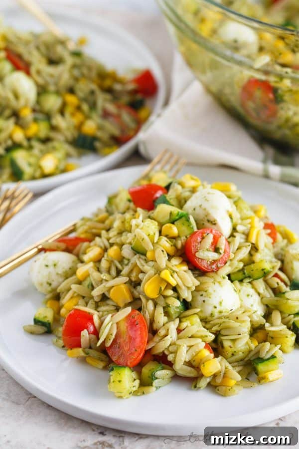 Golden Hour Orzo Salad 3 This end of summer orzo pasta salad is a great way to use up the summer's finest ingredients (zucchini, corn, tomatoes, and basil) but realistically, it is great year-round! Easy to put together and it is great served chilled or warm!