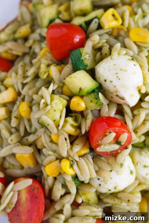 Golden Hour Orzo Salad 4 This end of summer orzo pasta salad is a great way to use up the summer's finest ingredients (zucchini, corn, tomatoes, and basil) but realistically, it is great year-round! Easy to put together and it is great served chilled or warm!
