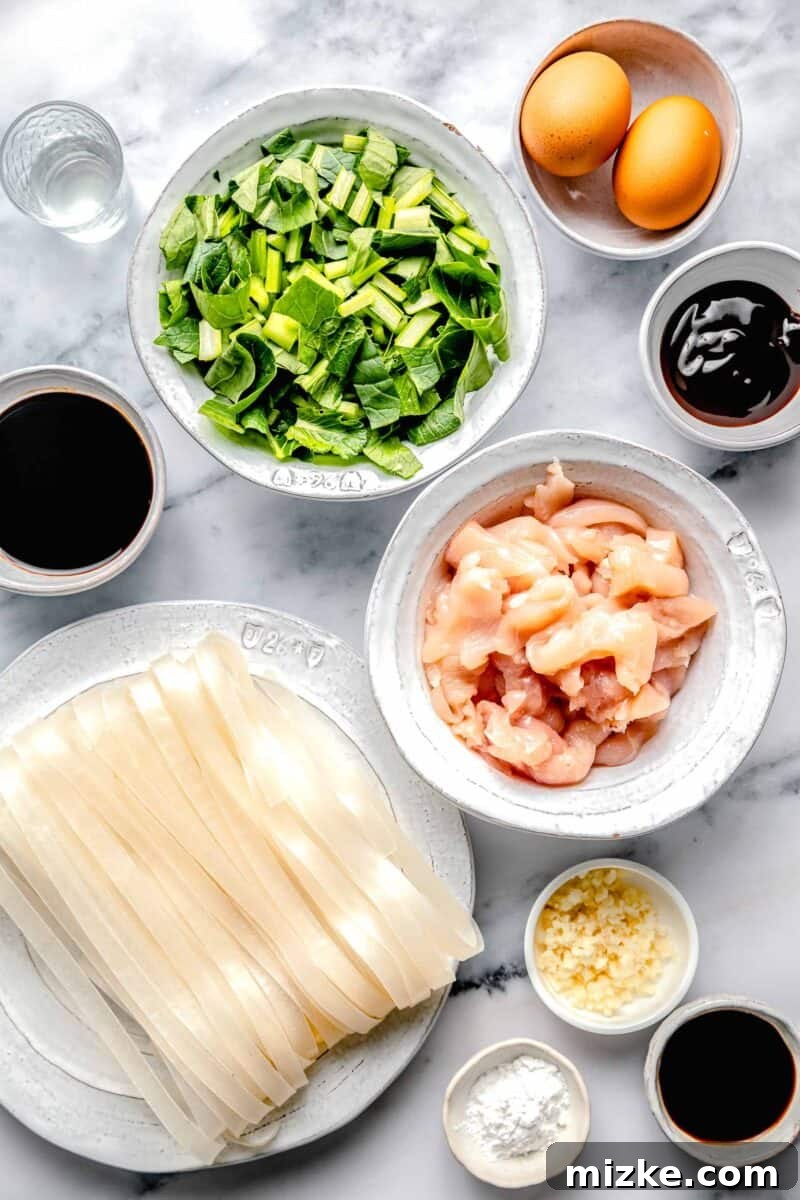 A colorful array of fresh ingredients for making Pad See Ew, including rice noodles, chicken, Chinese broccoli, and various sauces, neatly arranged on a counter.