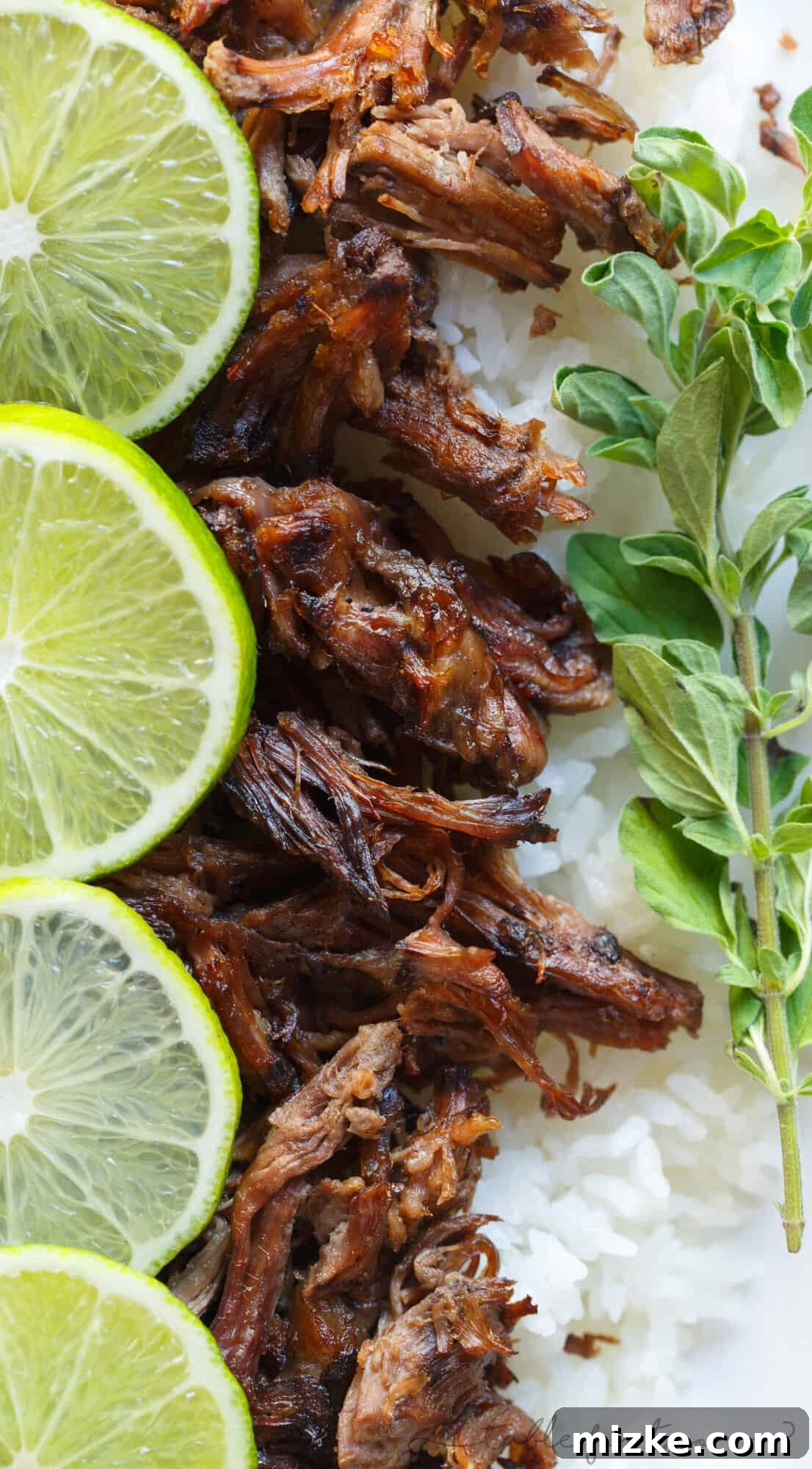 Zesty Mojo Slow-Cooked Beef and Rice 2 This slow cooker mojo beef and rice is an incredibly flavorful slow cooker meal that is melt-in-your-mouth delicious! Full of citrus flavor and a hint of spice! #HuntsDifference #ad