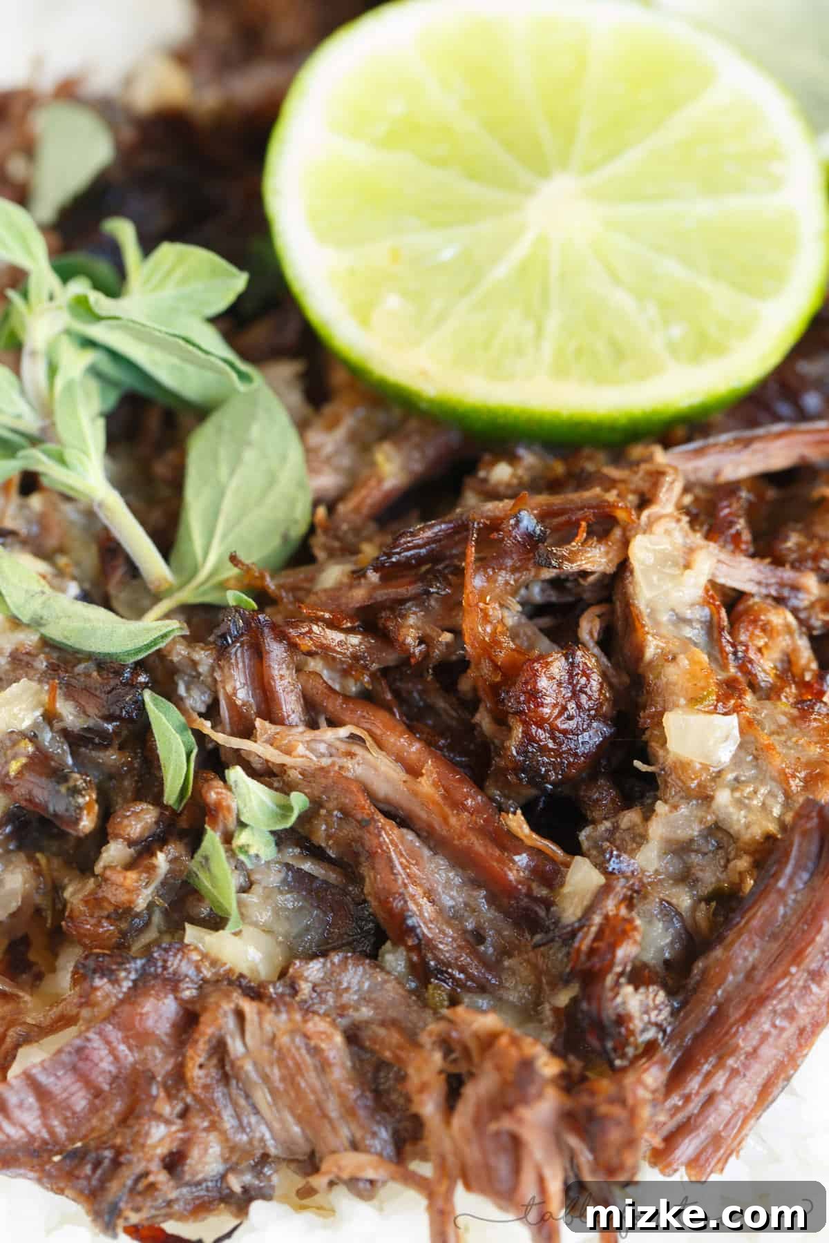 Zesty Mojo Slow-Cooked Beef and Rice 4 This slow cooker mojo beef and rice is an incredibly flavorful slow cooker meal that is melt-in-your-mouth delicious! Full of citrus flavor and a hint of spice! #HuntsDifference #ad