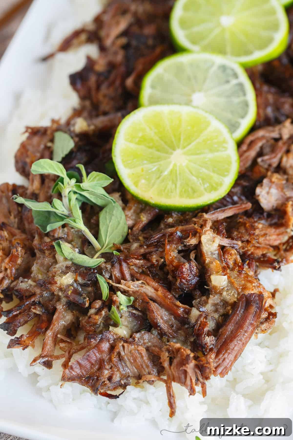Zesty Mojo Slow-Cooked Beef and Rice 6 This slow cooker mojo beef and rice is an incredibly flavorful slow cooker meal that is melt-in-your-mouth delicious! Full of citrus flavor and a hint of spice! #HuntsDifference #ad