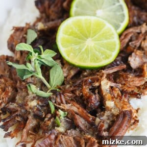 Slow Cooker Mojo Beef and Rice with vibrant citrus flavors