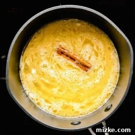 melted butter and a cinnamon stick in a saucepot