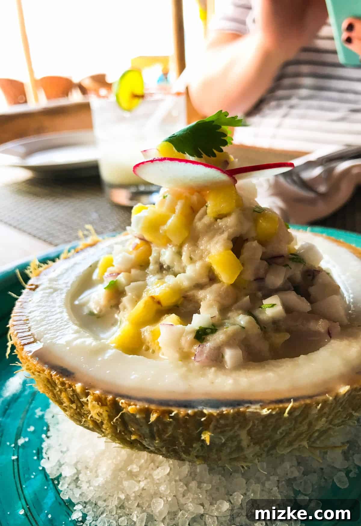 Puerto Vallarta Tropical Paradise 7 Refreshing Ceviche served in a Coconut in Puerto Vallarta