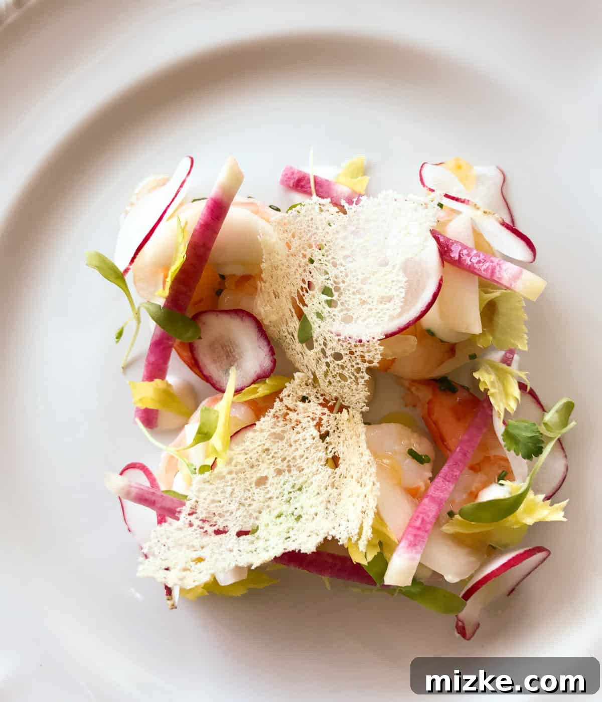 Gourmet plated meal featuring seafood on Princess Cruises