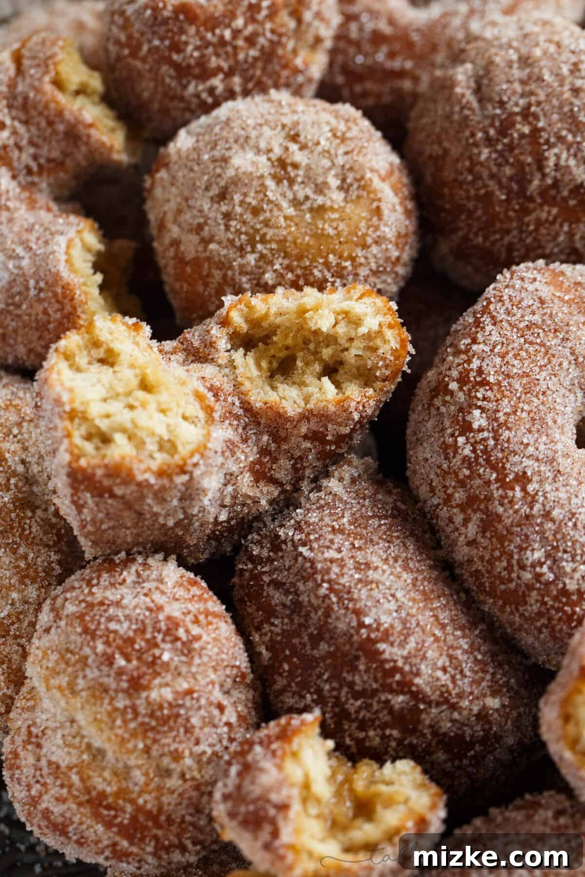 Spiced Apple Cider Doughnut Delights 4 Close-up shot of apple cider doughnuts, with one torn in half revealing its moist interior