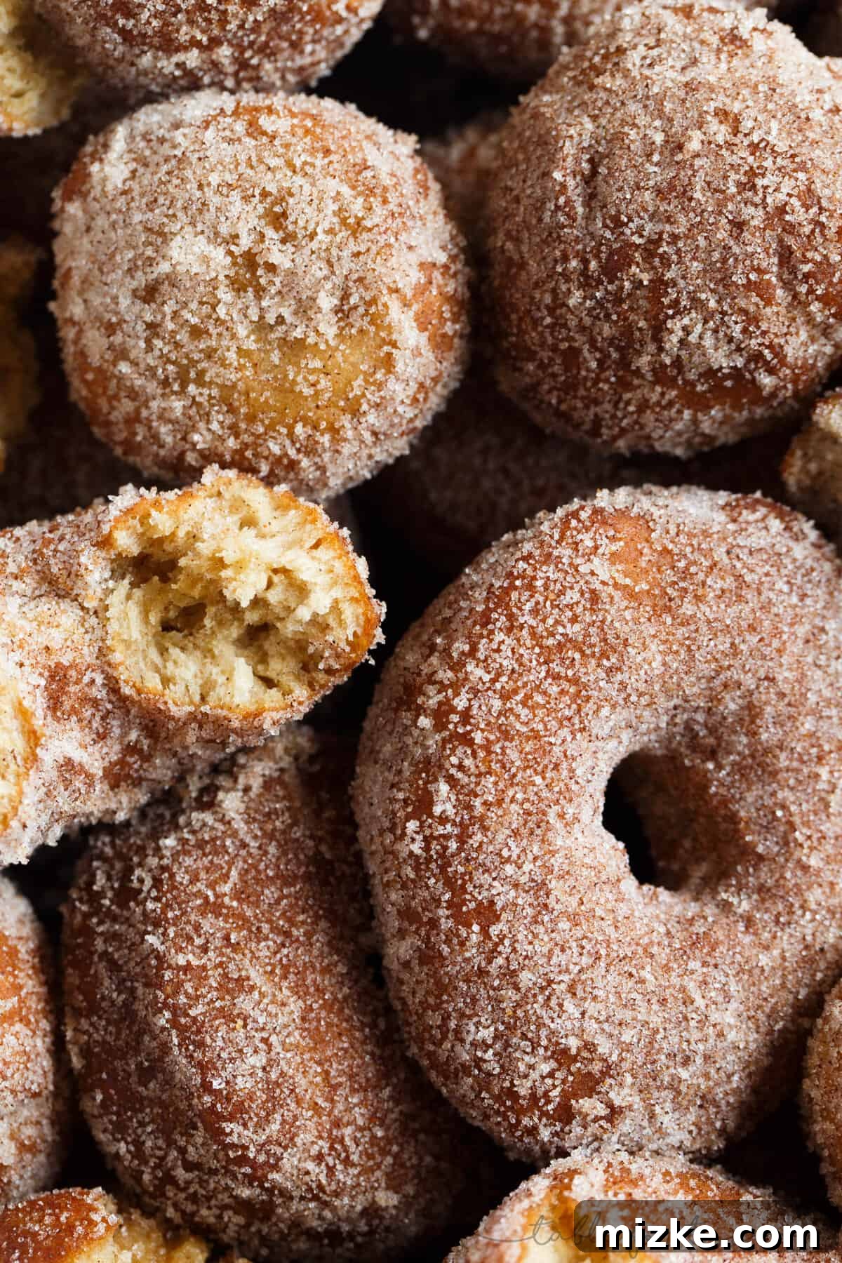 Spiced Apple Cider Doughnut Delights 5 Close-up shot of homemade apple cider doughnuts coated in cinnamon sugar