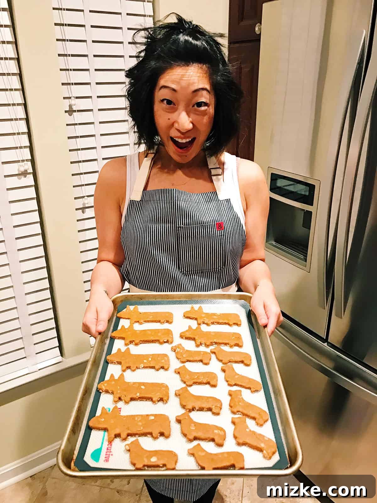 Adorable Corgi dog biscuit treats perfect for your furry friend