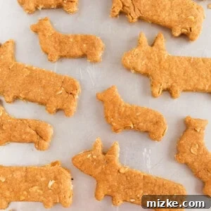 The cutest Corgi dog biscuit treats for your furry friend!