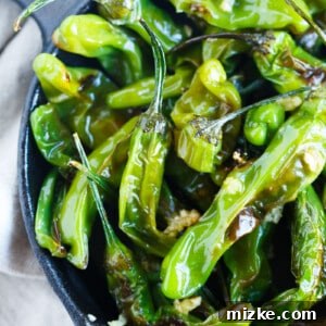 A delightful bowl of blistered shishito peppers with garlic, captured from above.