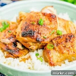 up close image of chicken adobo in a teal plate with a bed of white rice
