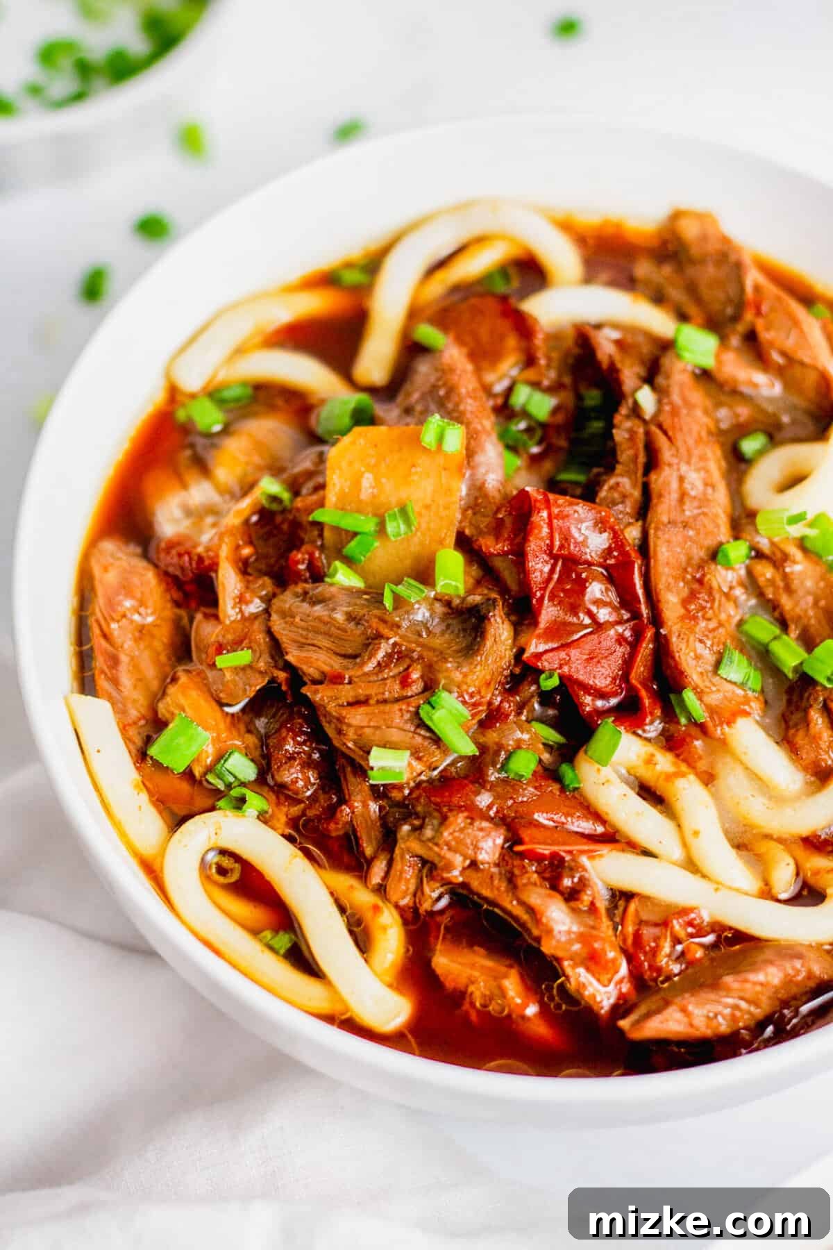 Customize your Instant Pot Taiwanese Beef Noodle Soup with your favorite garnishes and sides. A beautifully presented bowl of Taiwanese beef noodle soup, generously topped with finely minced green onions for garnish