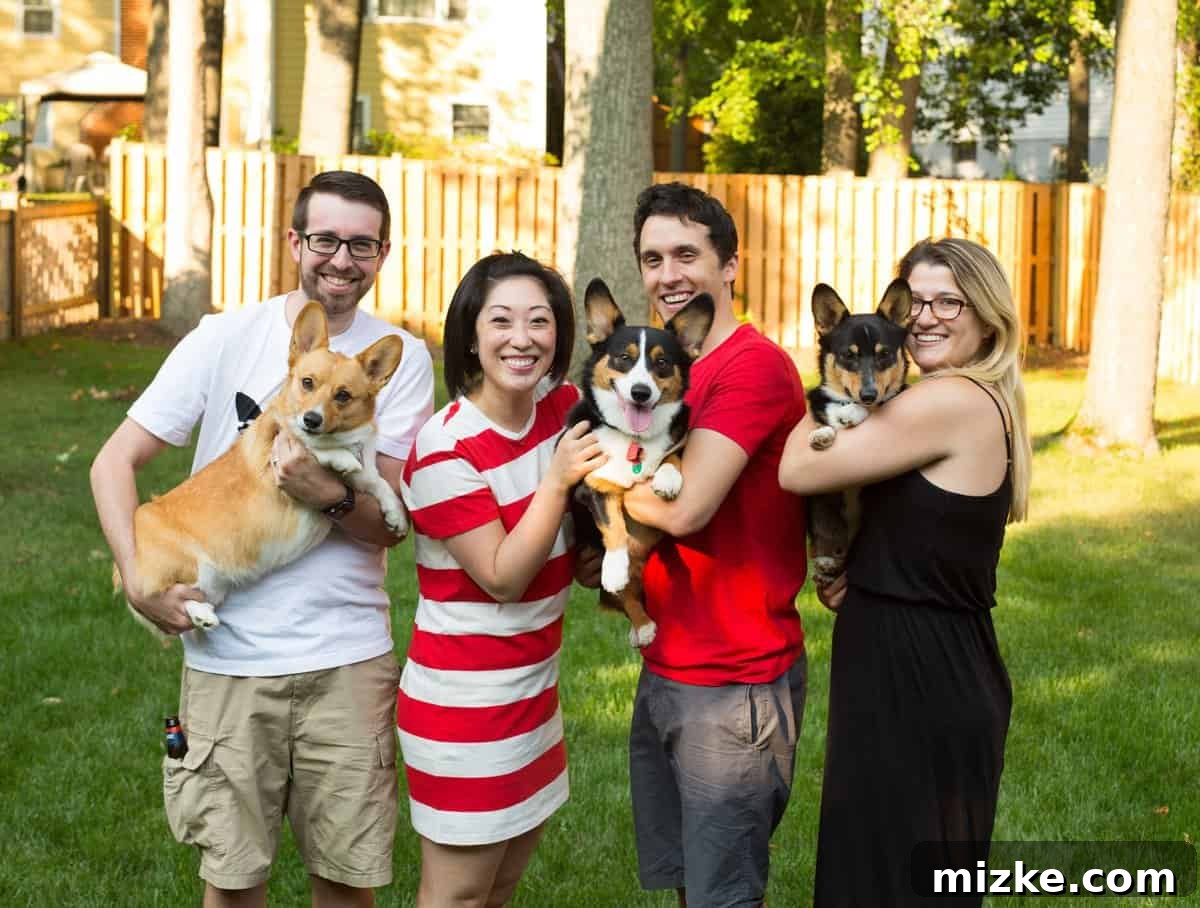 A group of adorable Corgi dogs gathered for Winston's birthday party, showcasing their unique charm.